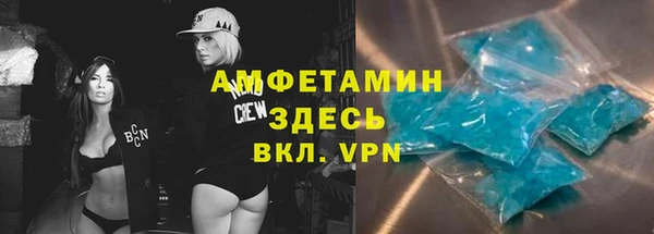 молекула духа Алексеевка