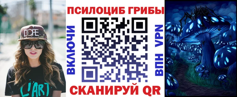 Псилоцибиновые грибы Psilocybe  Вихоревка 